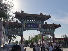 -曹州牡丹园