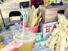 -西双版纳傣族园