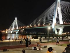 -万绿园