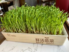 -捞神煲汤火锅(湖滨商业街店)