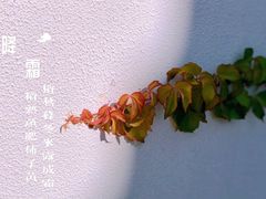 -水底山庄园温泉