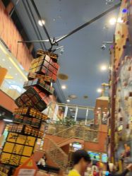 点击看大图 -卡通尼·Safari非洲探索乐园·生日会(金桥国际商业广场店)