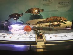 -中国湿地博物馆