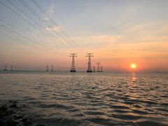 -宝安西湾红树林湿地公园