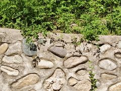 -雾灵西峰