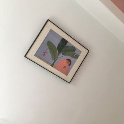 -OAE日式皮肤管理お肌の