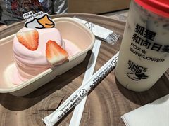 -狐狸和向日葵(北京路店)