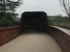 -昆山城市生态森林公园