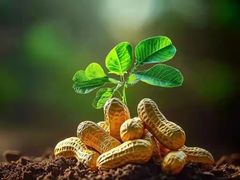 -百年老字号·观振兴蟹黄面·三虾面·苏式面(观前街富仁坊巷店)