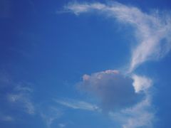 -原乡芦茨咖啡