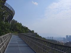 -福道