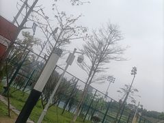 -八仙山公园