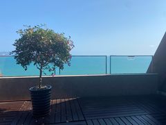 -三亚湾海居铂尔曼度假酒店