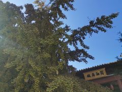 -南京市江宁方山