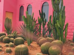 -漳州滨海火山岛自然生态风景区