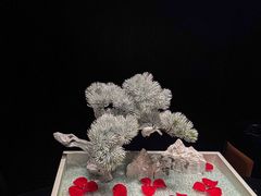 -蟹犇•帝王蟹雪蟹(陆家嘴店)