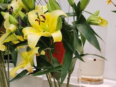 -双季花艺园艺市场(浦东店)