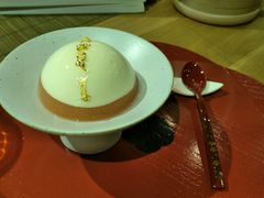 -柴务处·柴犬主题狗咖