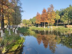 -映月湖公园