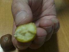 -阿男野栗王(金门路店)