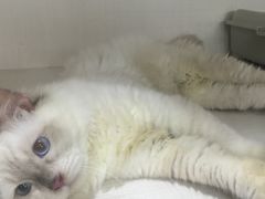 -国文影城(上海闸北店)