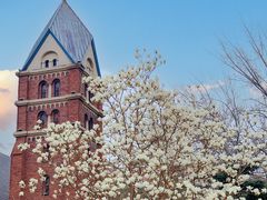 -天津五大道文化旅游区