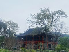 -顺峰山公园