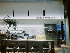 -野鸽子咖啡(中航店)