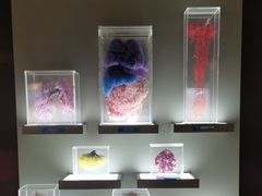-生命奥秘博物馆