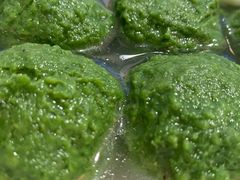 -柏合黄记豆腐皮饭店