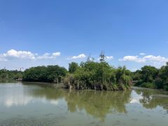 -白鹭湾湿地公园