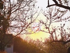 -杭州半山国家森林公园