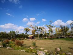 -上海长兴岛郊野公园