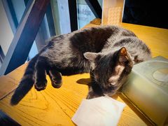 -MOKKA莫卡咖啡(大名路店)