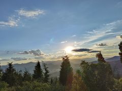-长虫山生态公园风景林