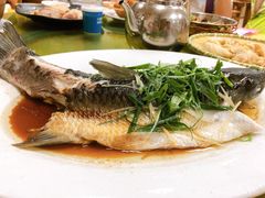 清蒸泉水鲩鱼-成惠食府(赤岗店)