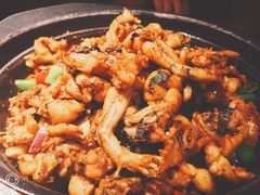 青椒紫苏味-蛙小侠·沸腾砂锅(南山欢乐颂店)