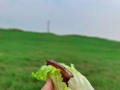 -木洞河街