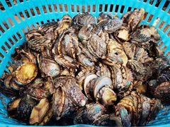 -东豪园林海鲜酒家(南港路辅路店)