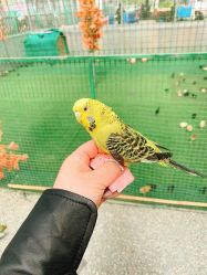 -萌宠亲子动物乐园(槐房万达店)