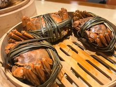 -杨氏青龙虾·羊蝎子(珠江路店)