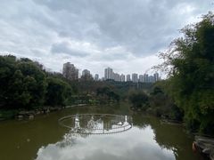 -龙头寺公园