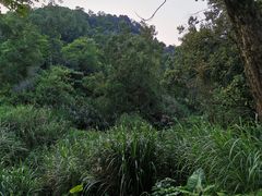 -火炉山森林公园