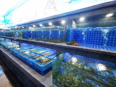 海鲜池-外滩·云南人家(昆明旗舰店)