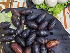 -牛牛牛酸菜煎肉店(望云寺路店)