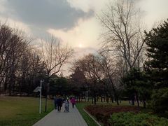 -元大都城垣遗址公园