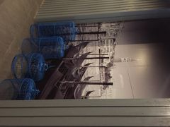 船奇.蒸汽海鲜-船奇蒸汽海鲜·闽菜(八市海鲜总店)