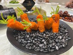 -丁老爷子苏香圆