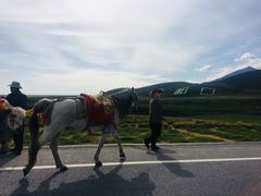 -扁都口生态休闲旅游区