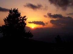 -镇龙山国家森林公园